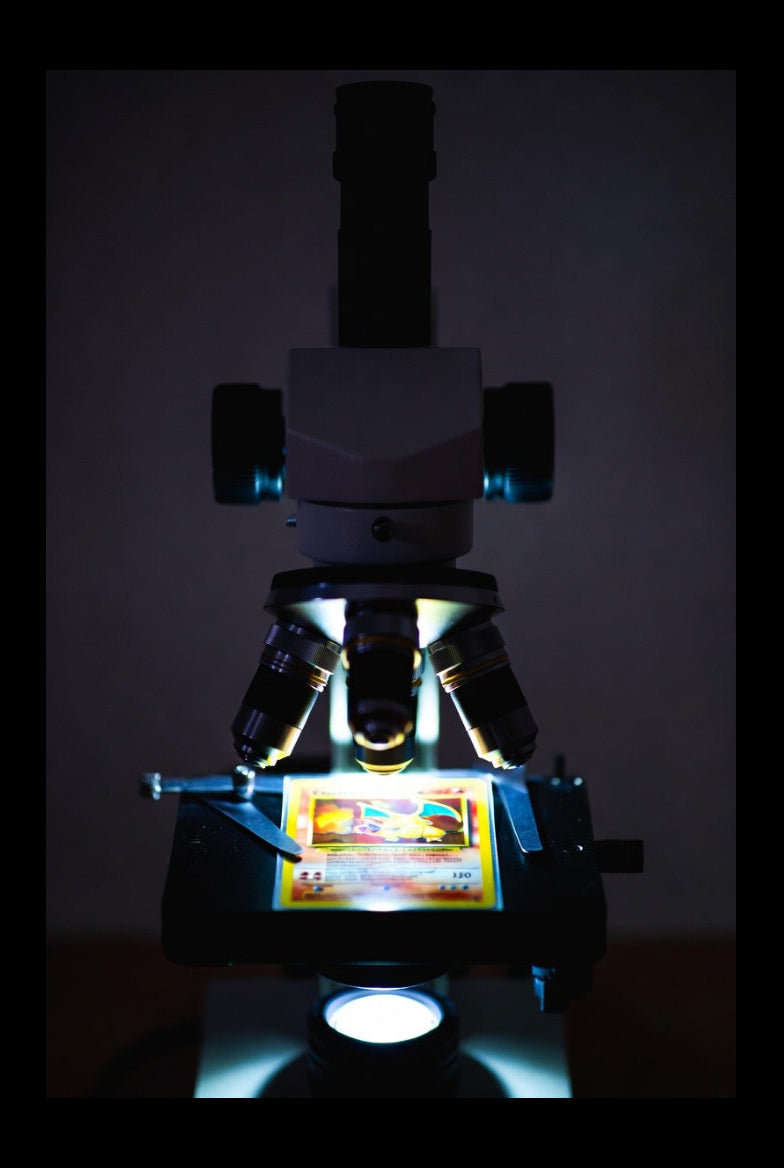 High-Detail Restoration & Prep Service + slab crack